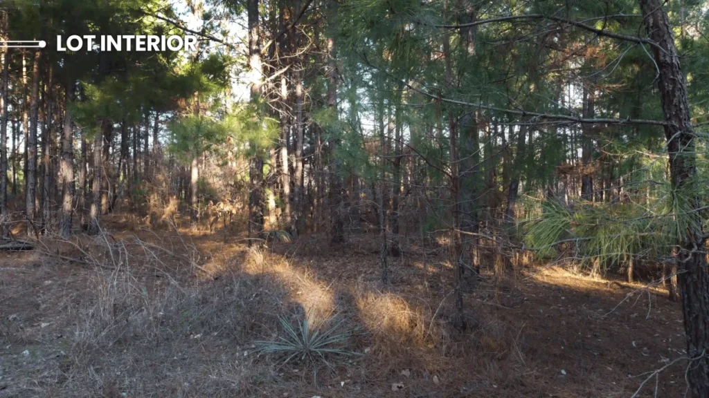 LOT-INTERIOR-2-min-1240x698