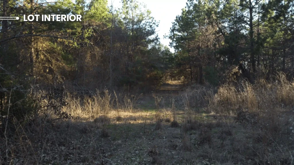 LOT-INTERIOR-min-scaled